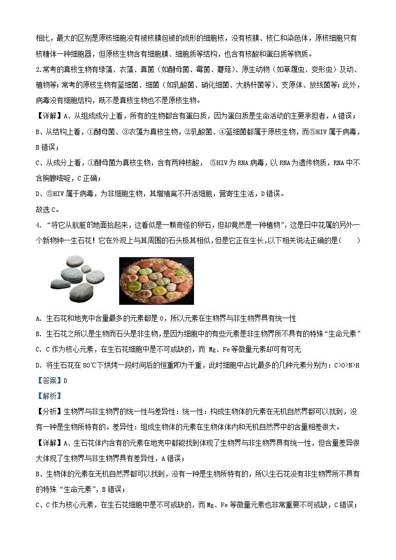 湖北省2023_2024学年高一生物上学期11月联考试题含解析第3页