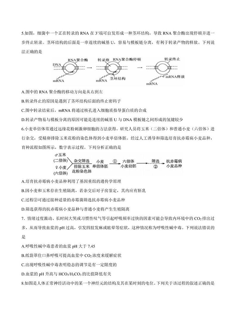 江苏泰州中学2025届高三高考一模考试试卷 生物试卷（含答案）第2页