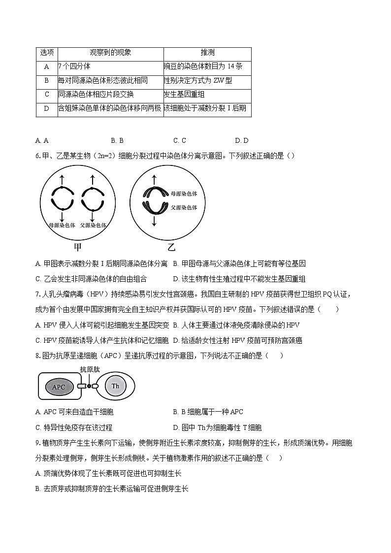 北京市东城区第十一中学2024-2025学年高三上学期12月考试生物试题第2页