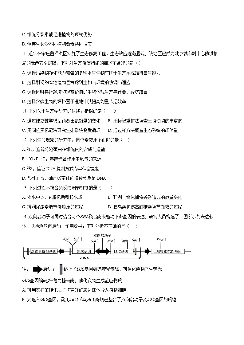 北京市东城区第十一中学2024-2025学年高三上学期12月考试生物试题第3页