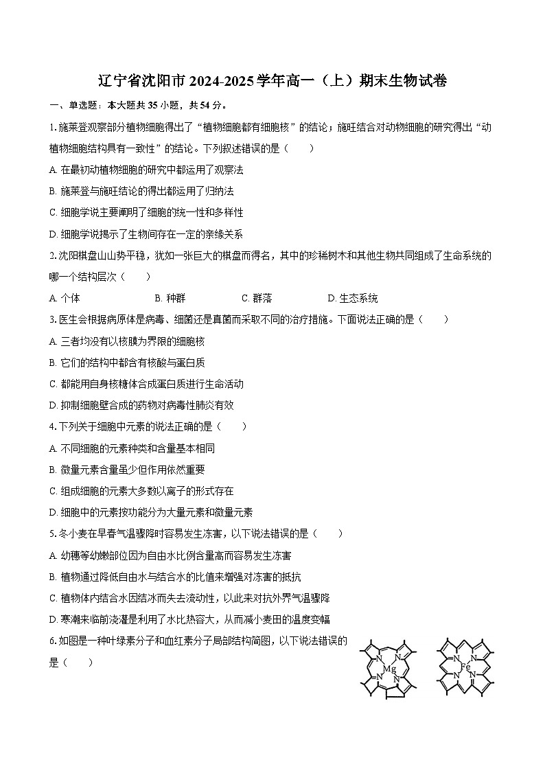 辽宁省沈阳市2024-2025学年高一（上）期末生物试卷第1页