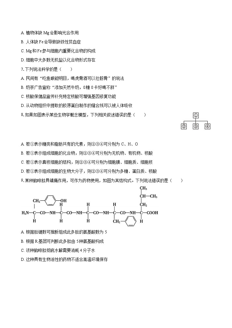 辽宁省沈阳市2024-2025学年高一（上）期末生物试卷第2页