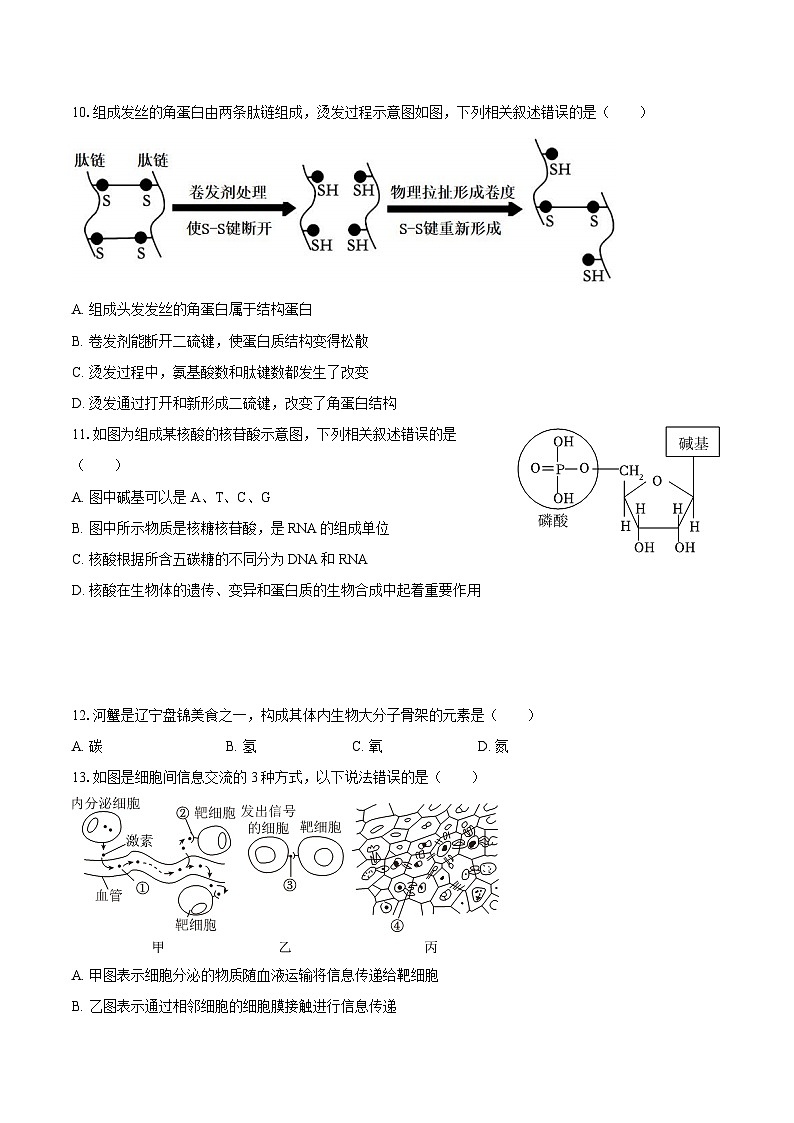 辽宁省沈阳市2024-2025学年高一（上）期末生物试卷第3页