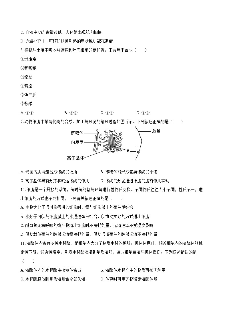 四川省泸州市泸县五中2024-2025学年高一（上）期末生物试卷（含解析）第2页