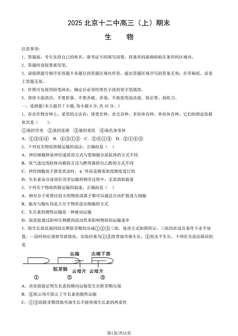 2025北京十二中高三（上）期末生物试卷（教师版）第1页