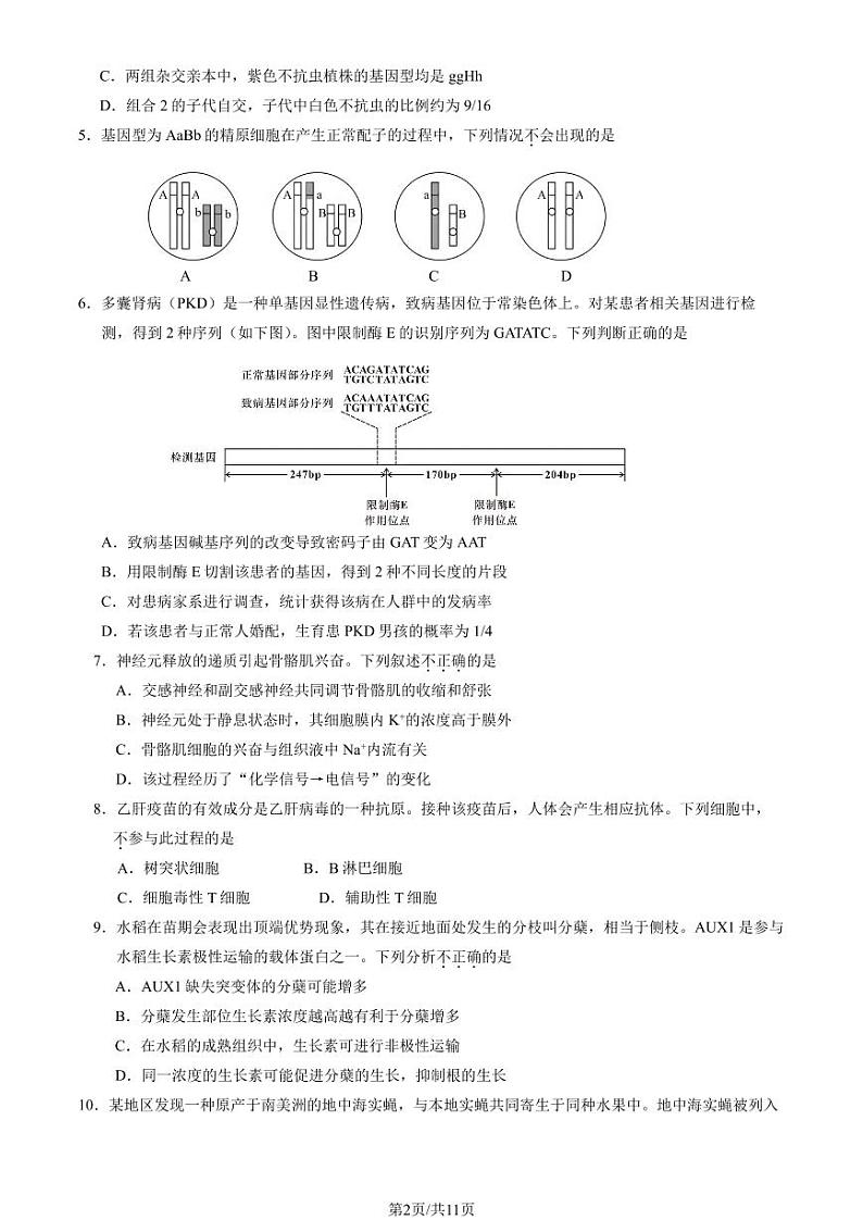 2025北京石景山高三（上）期末生物试卷（教师版）第2页