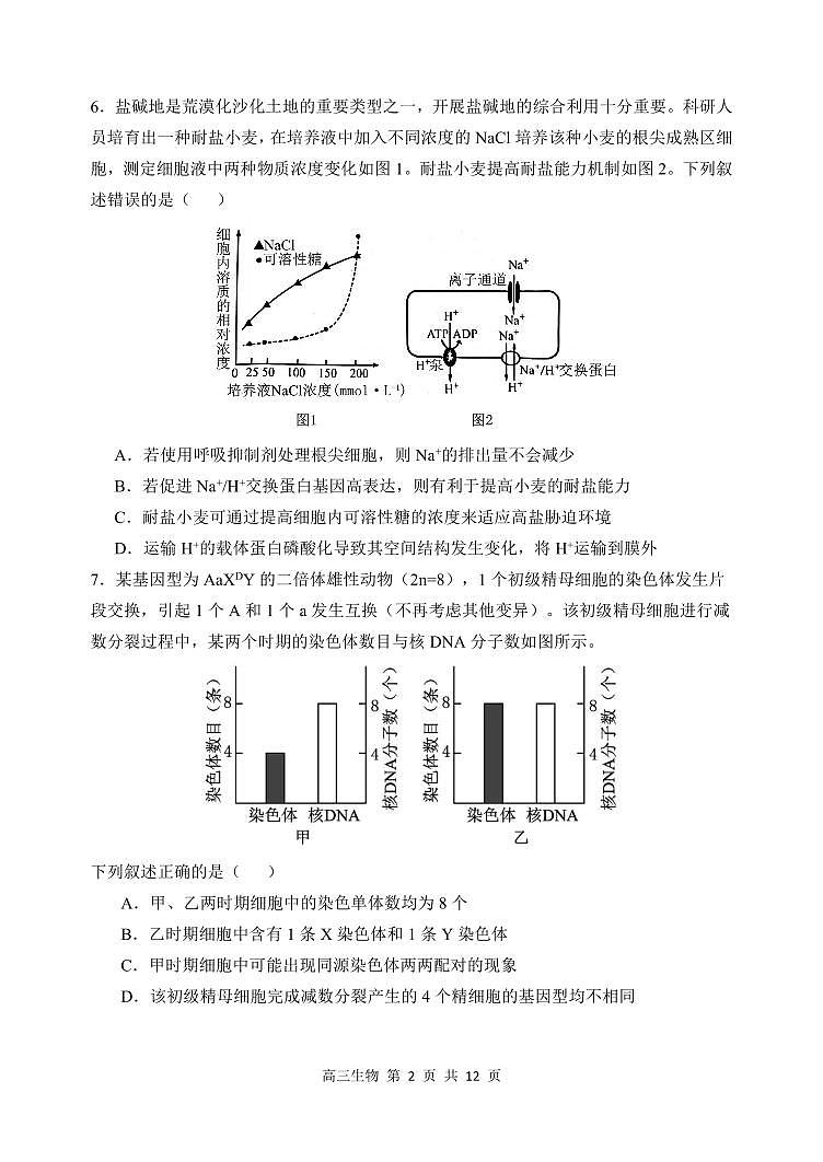 哈三中2024-2025学年度上学期高三学年期末考试 生物第2页