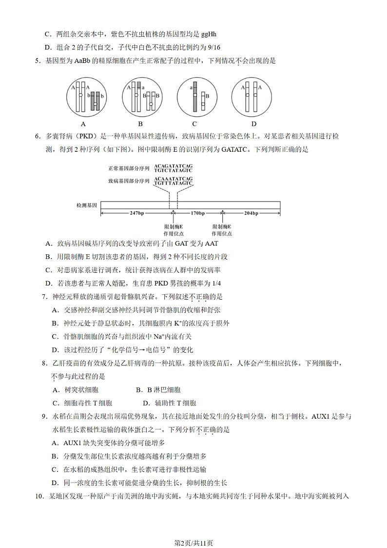 北京市石景山区2024-2025学年度第一学期高三期末生物试题及答案第2页