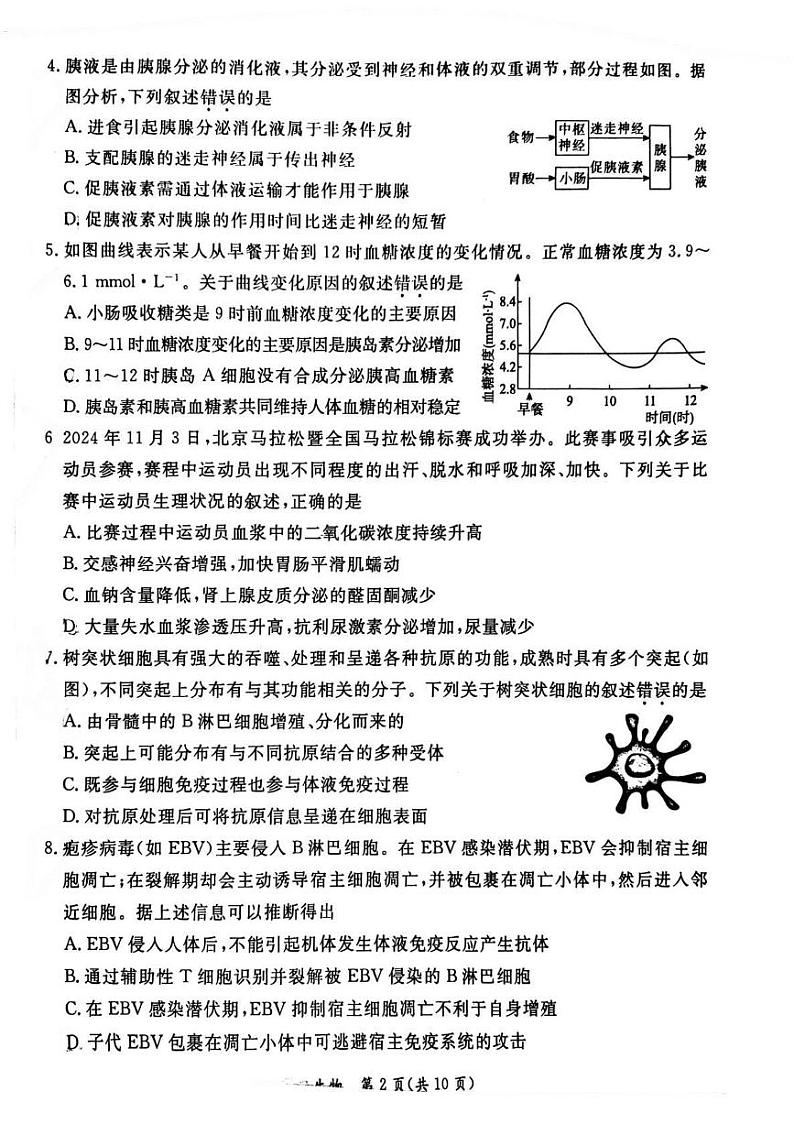 2025北京东城高二（上）期末生物试题第2页