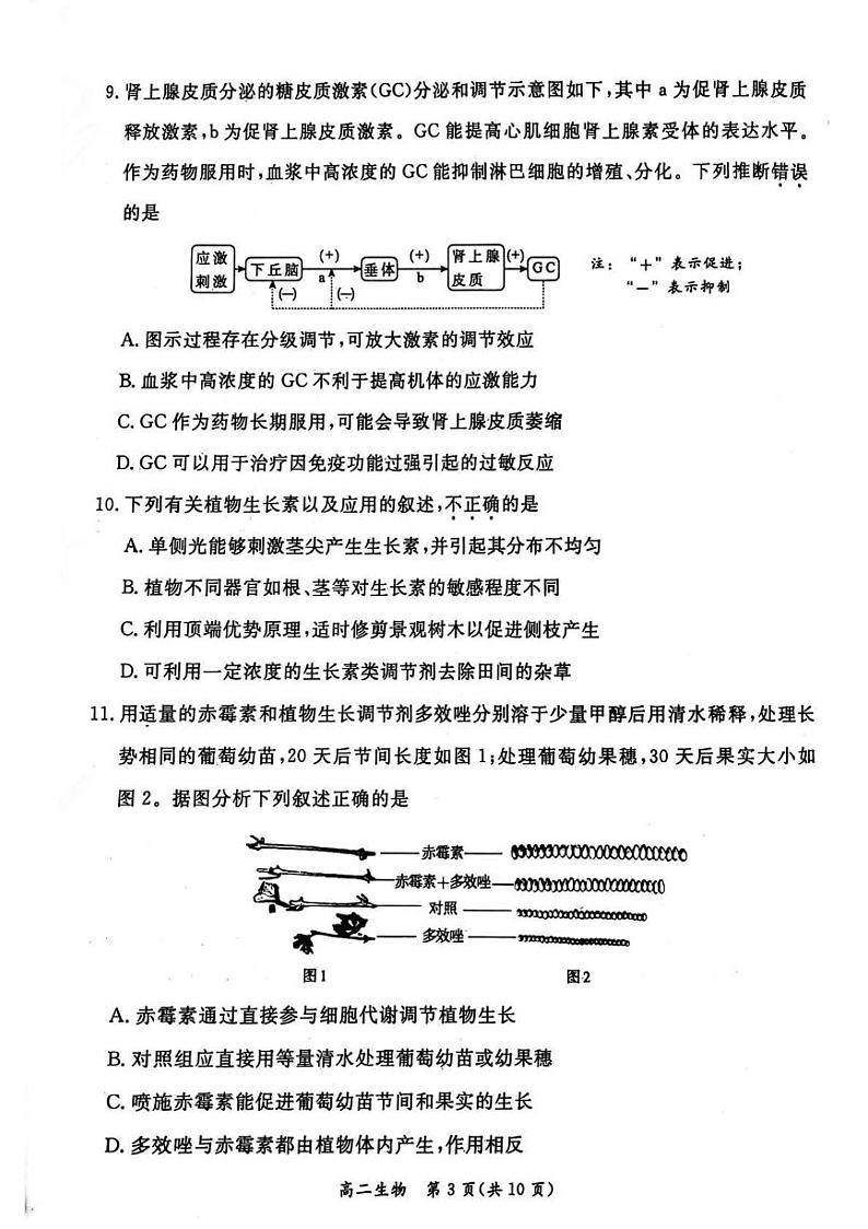 2025北京东城高二（上）期末生物试题第3页