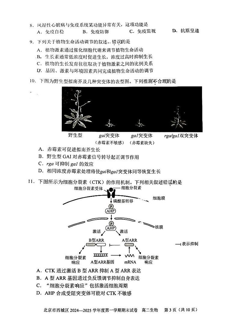 2025北京西城高二（上）期末生物试题（教师版）第3页