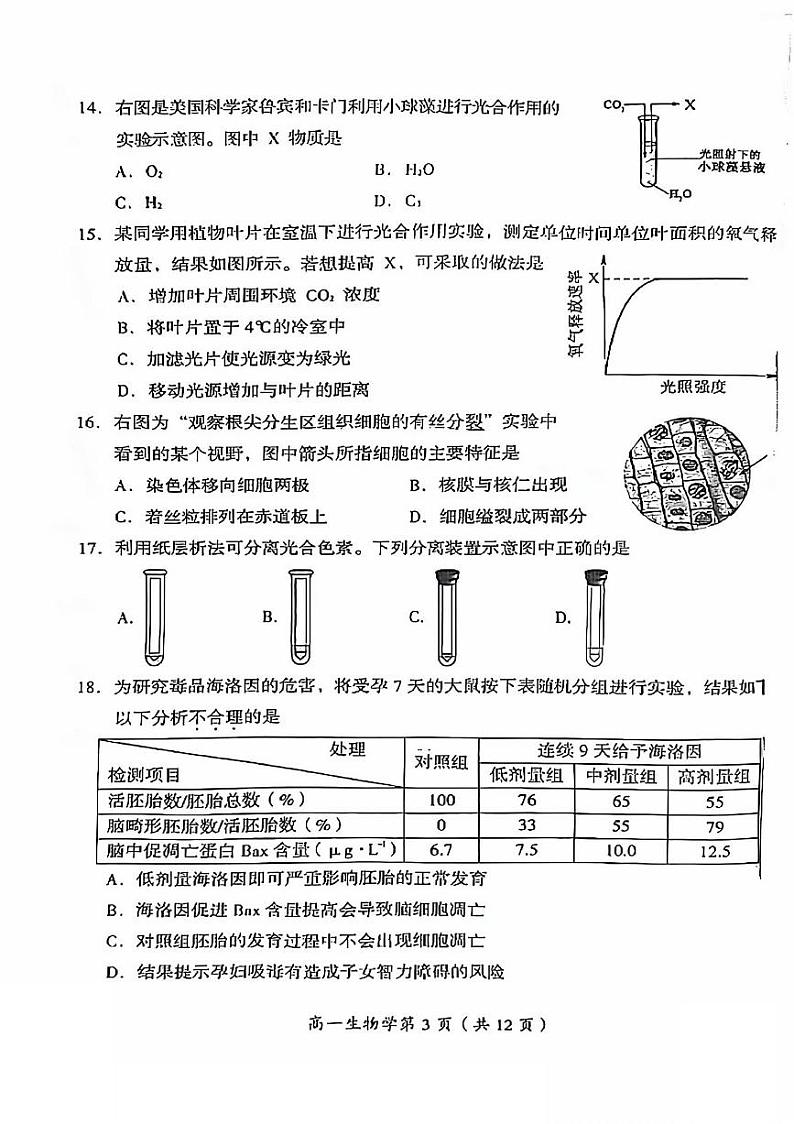 2025北京房山高一（上）期末生物试题第3页