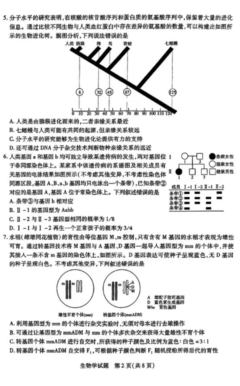 2025天一大联考高三天一小高考（二）生物试题及答案第2页