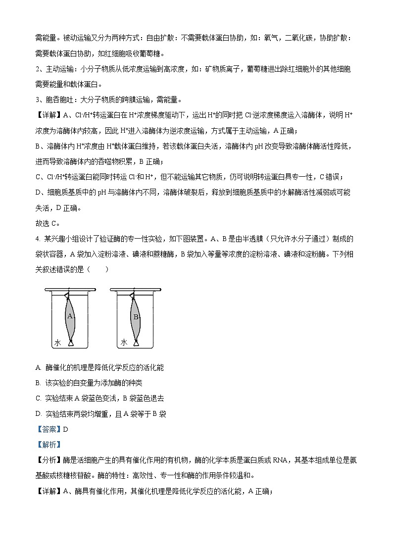 安徽省淮南市、淮北市2025届高三上学期第一次质量检测生物答案第3页