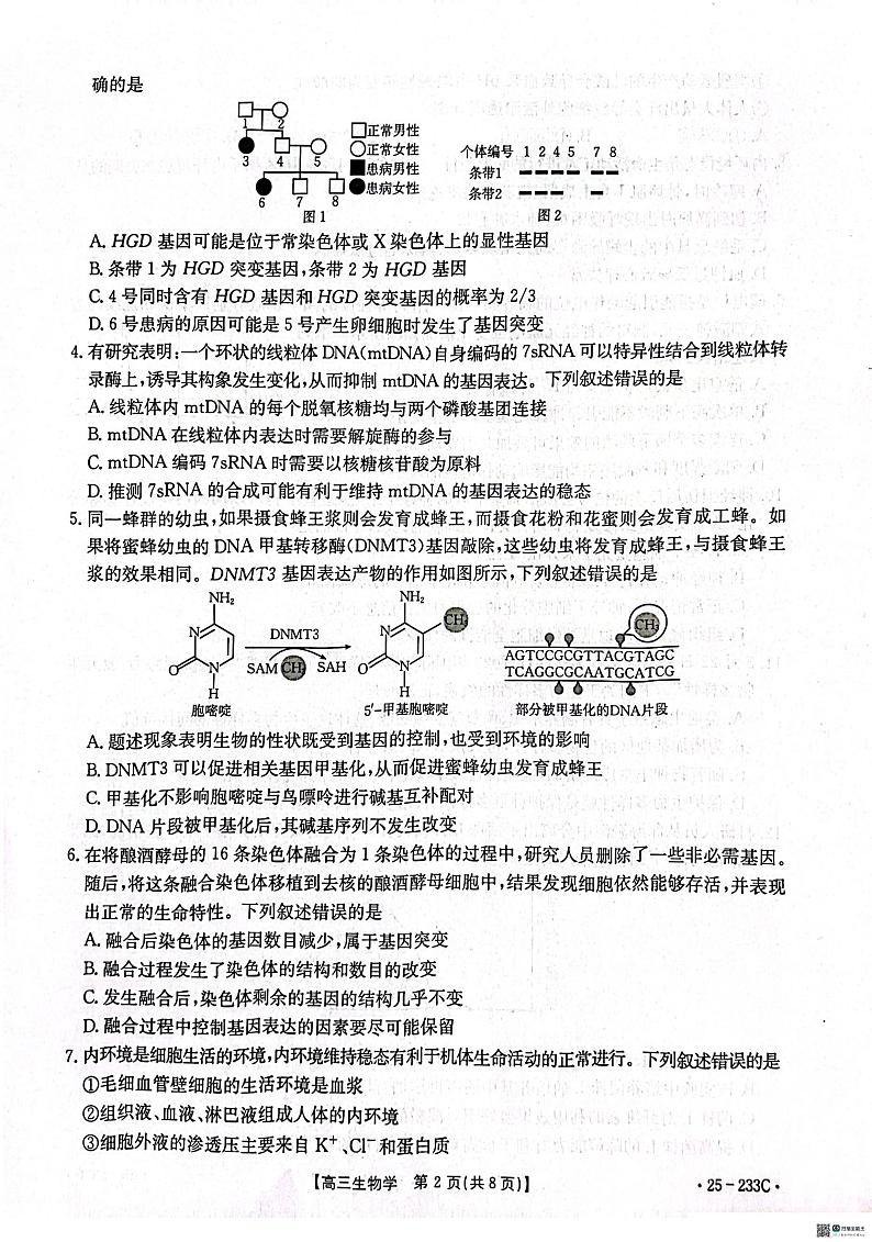 河北省邢台市质检联盟2024-2025学年高三上学期第三次月考生物试题第2页