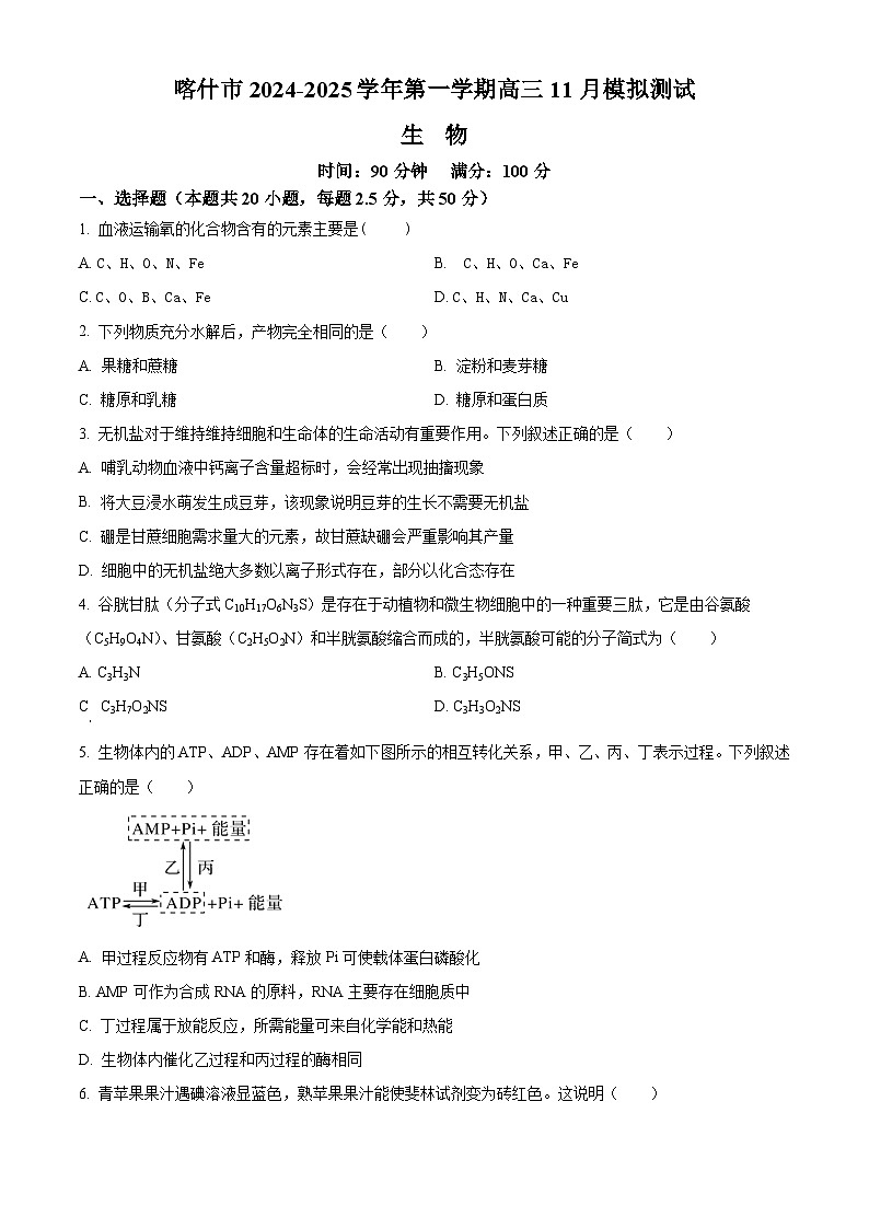 新疆喀什市2024-2025学年高三上学期11月月考生物试卷无答案第1页