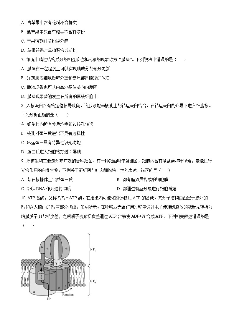新疆喀什市2024-2025学年高三上学期11月月考生物试卷无答案第2页