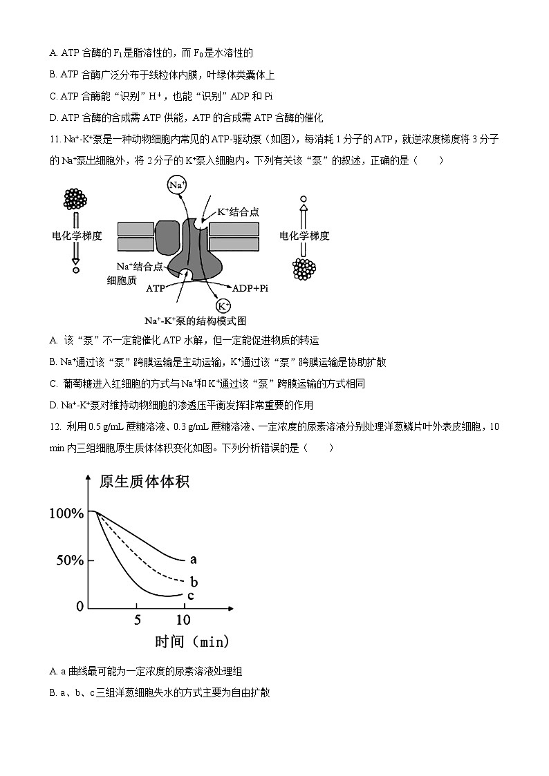 新疆喀什市2024-2025学年高三上学期11月月考生物试卷无答案第3页