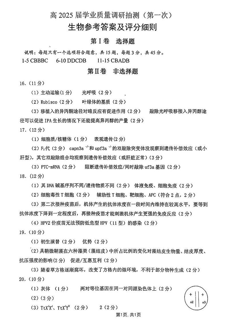 重庆主城五区2025届高三高考一模考试 生物试卷（参考答案）第1页