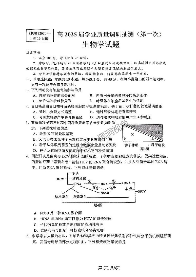 重庆主城五区2025届高三高考一模考试 生物试卷（原卷）第1页