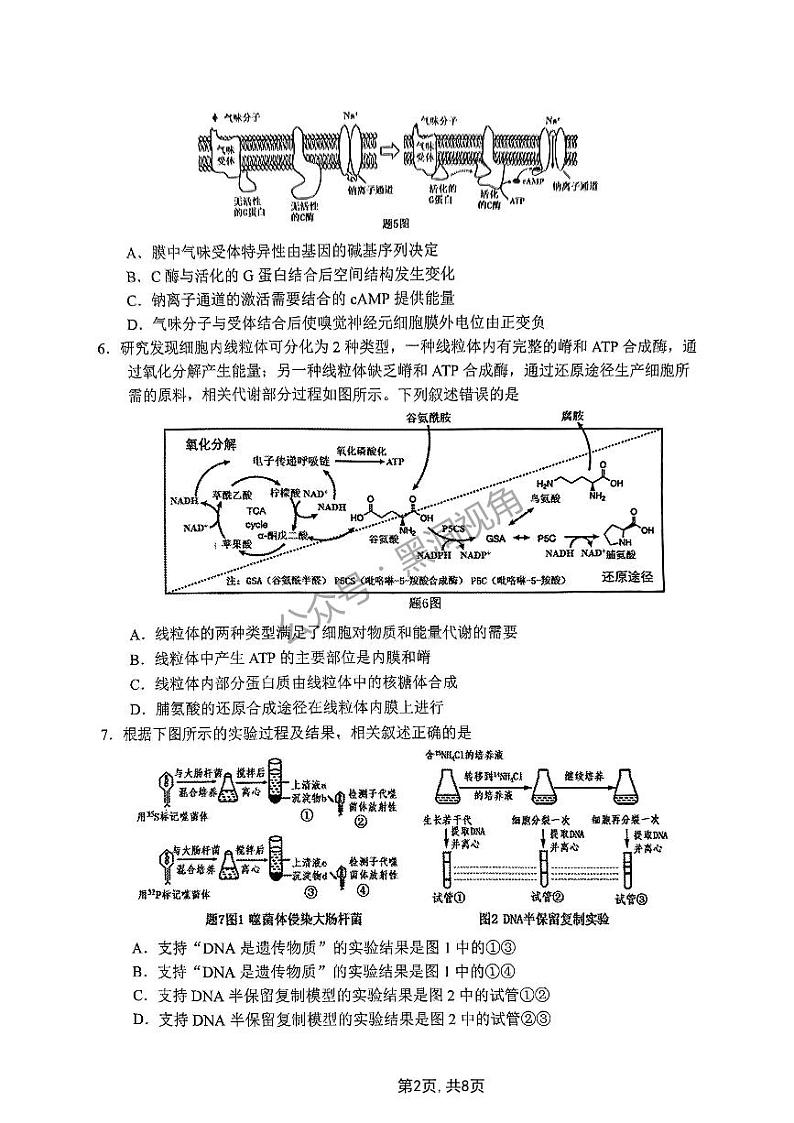 重庆主城五区2025届高三高考一模考试 生物试卷（原卷）第2页