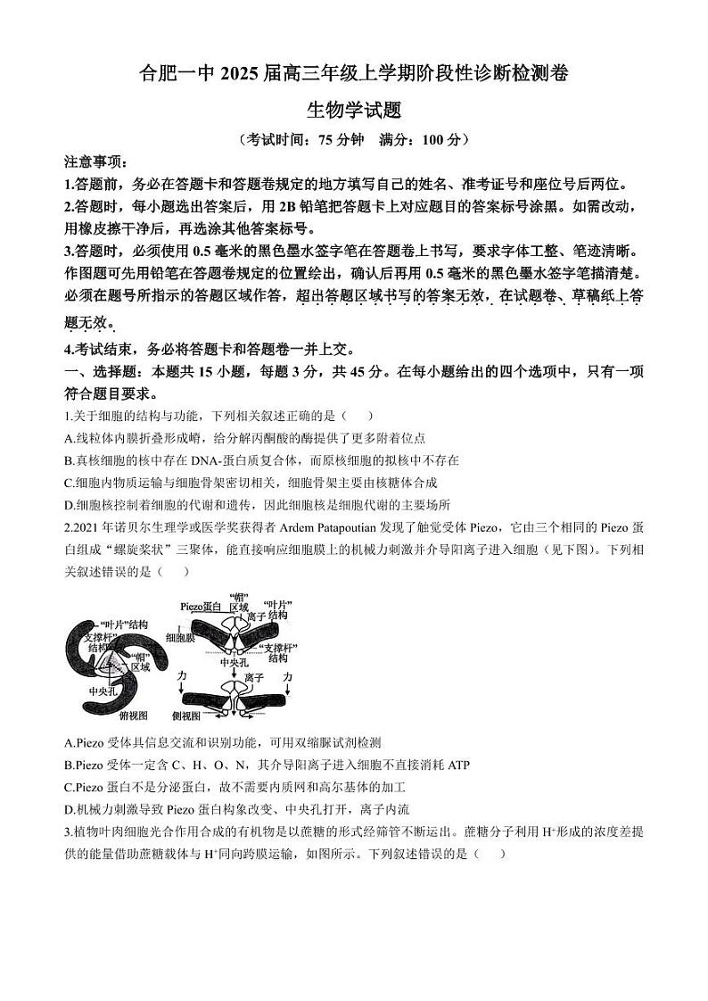 安徽省十联考合肥市第一中学等校2025届高三上学期阶段性诊断检测生物+答案第1页