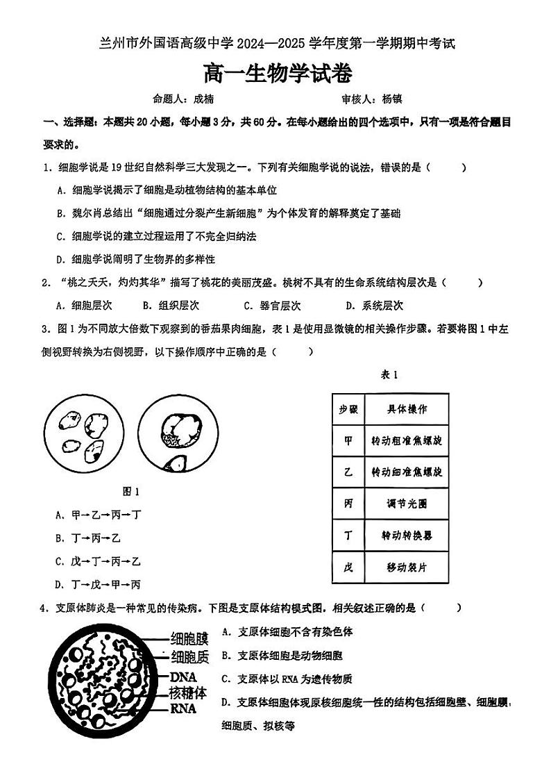 甘肃省兰州外国语高级中学2024-2025学年高一上学期期中生物试卷第1页