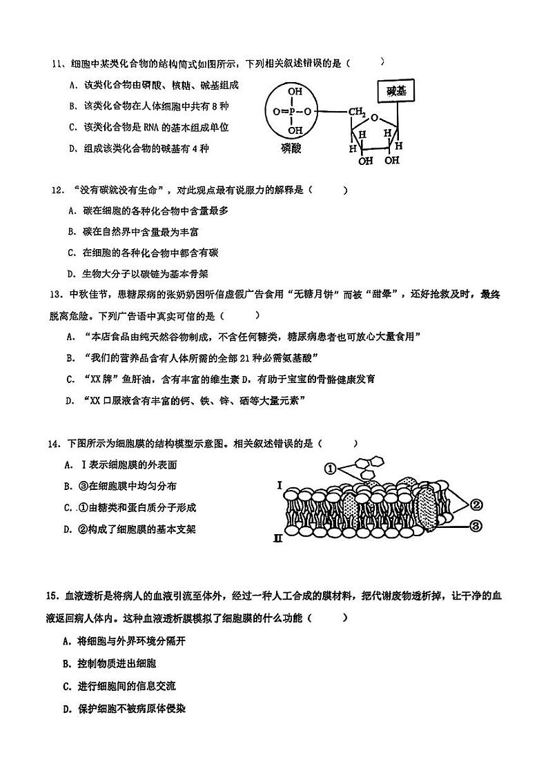 甘肃省兰州外国语高级中学2024-2025学年高一上学期期中生物试卷第3页