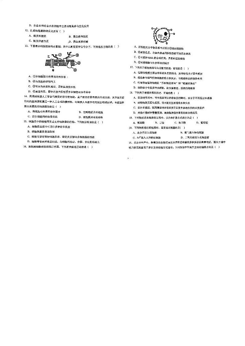 云南省怒江傈僳族自治州福贡县联考2024-2025学年高一上学期1月期末生物试题第2页