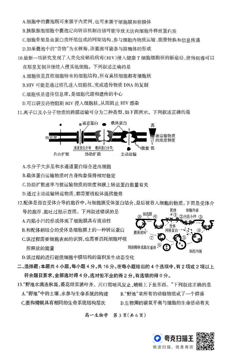 江西省吉安市2024-2025学年高一上学期1月期末教学质量检测生物试题第3页
