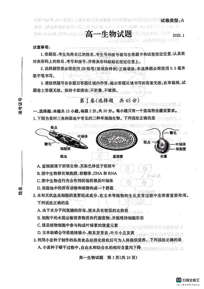 山东省滨州市2024-2025学年高一上学期1月期末生物试题 (1)第1页