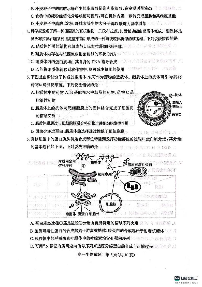 山东省滨州市2024-2025学年高一上学期1月期末生物试题 (1)第2页