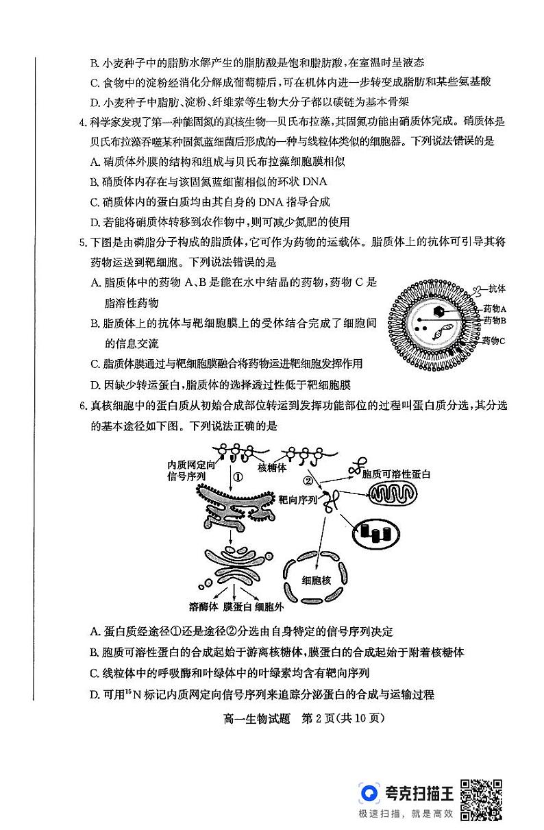 山东省滨州市2024-2025学年高一上学期1月期末生物试题第2页
