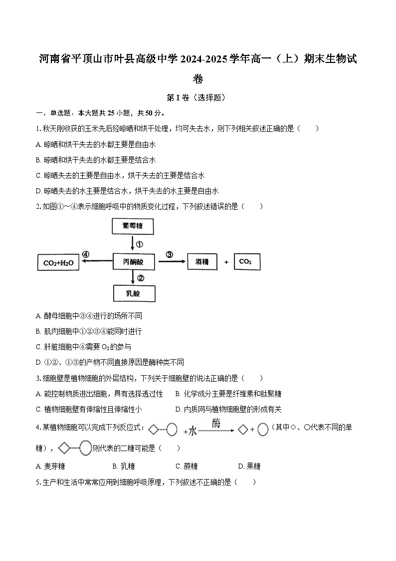 河南省平顶山市叶县高级中学2024-2025学年高一（上）期末生物试卷第1页