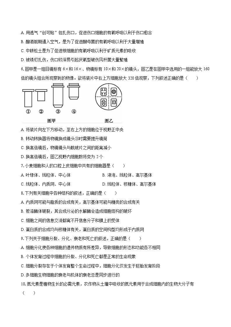 河南省平顶山市叶县高级中学2024-2025学年高一（上）期末生物试卷第2页