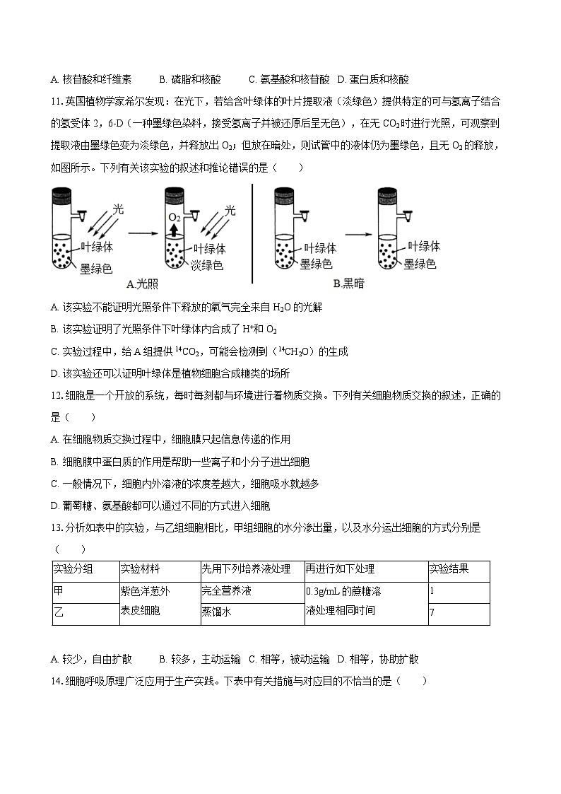 河南省平顶山市叶县高级中学2024-2025学年高一（上）期末生物试卷第3页