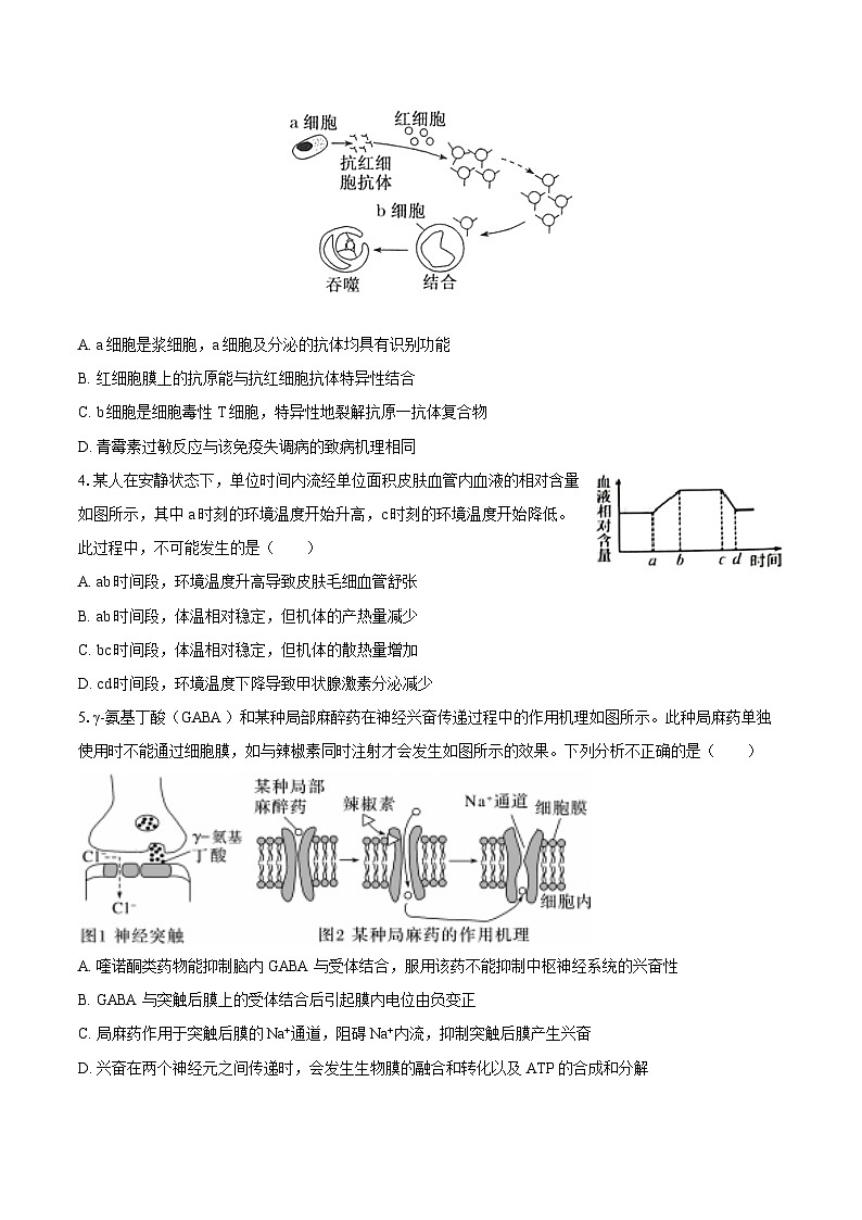 吉林省白城一中2024-2025学年高二（上）期末生物试卷第2页