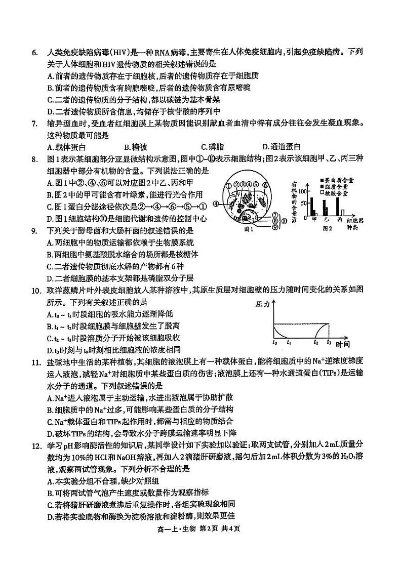 四川省泸州市2024-2025学年高一上学期期末统一考试生物学试题第2页