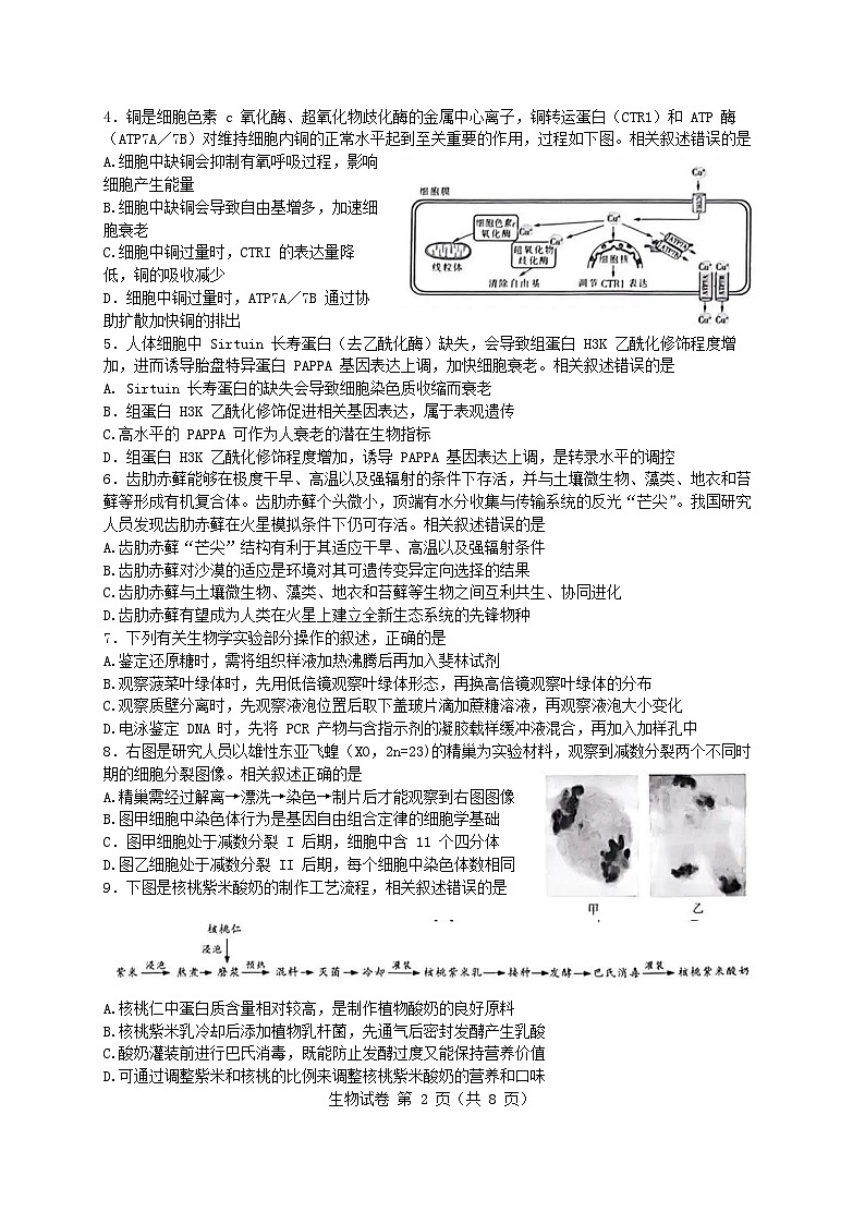 江苏省南通市一模（南通泰州镇江盐城）2025届高三第一次调研测试 生物试题及答案第2页
