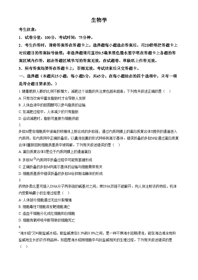 2025届安徽省芜湖市镜湖区安徽师范大学附属中学高三二模生物试题无答案第1页