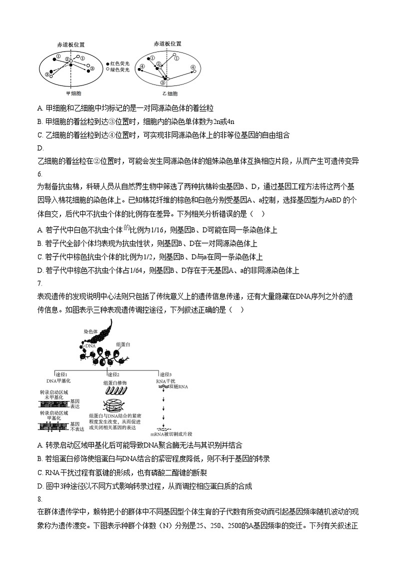 安徽省合肥市第一中学2024-2025学年高三上学期12月诊断检测生物试题无答案第3页