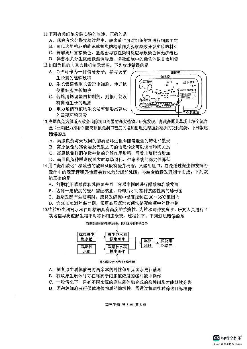 江苏省苏州市2024-2025学年高三上学期1月期末生物试题第3页