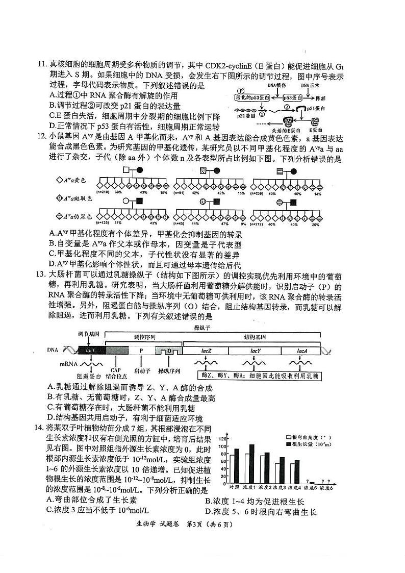 2025绵阳市高三二诊生物试卷和参考答案第3页