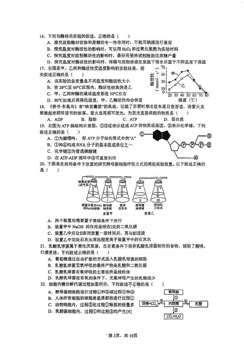 2025北京人大附中高一（上）期末生物试卷第3页