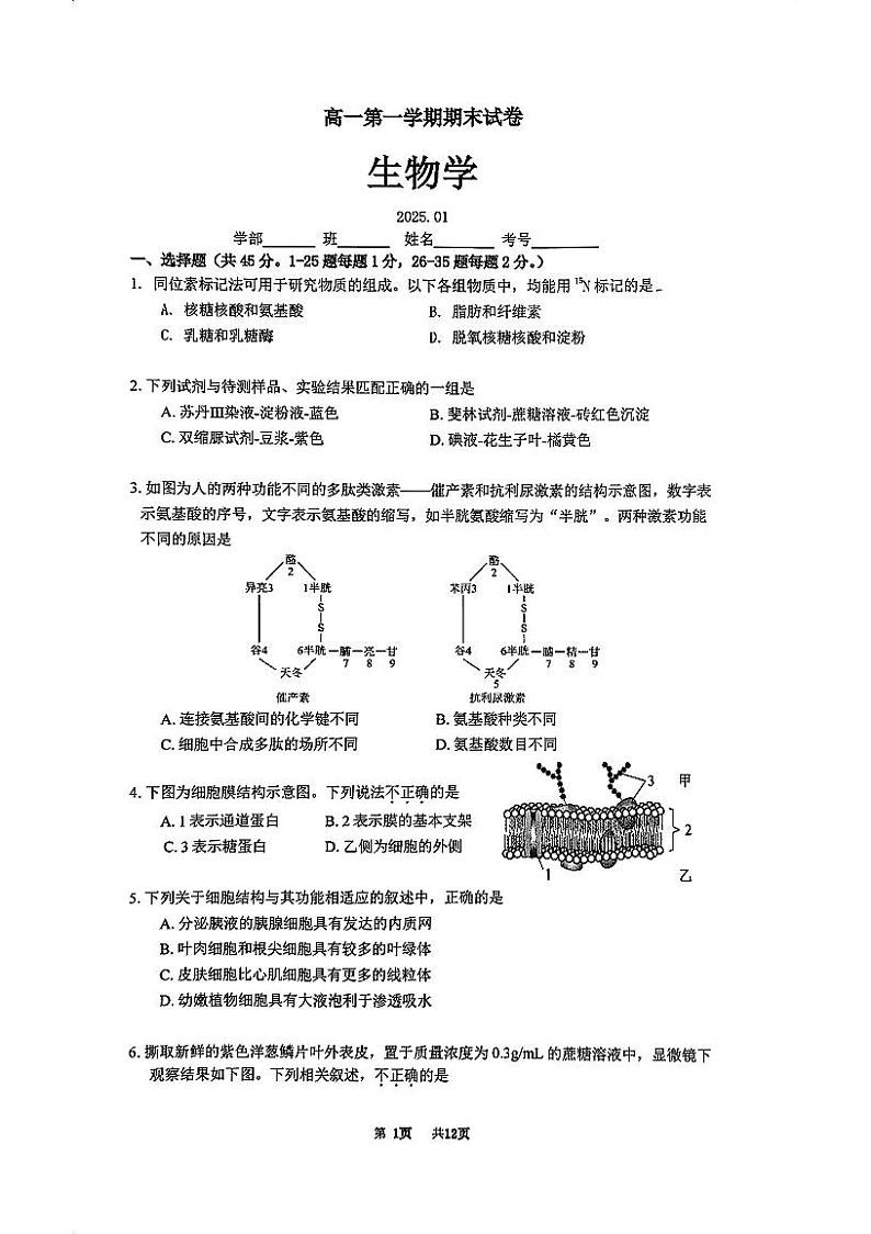 2025北京清华附中高一（上）期末生物试卷第1页