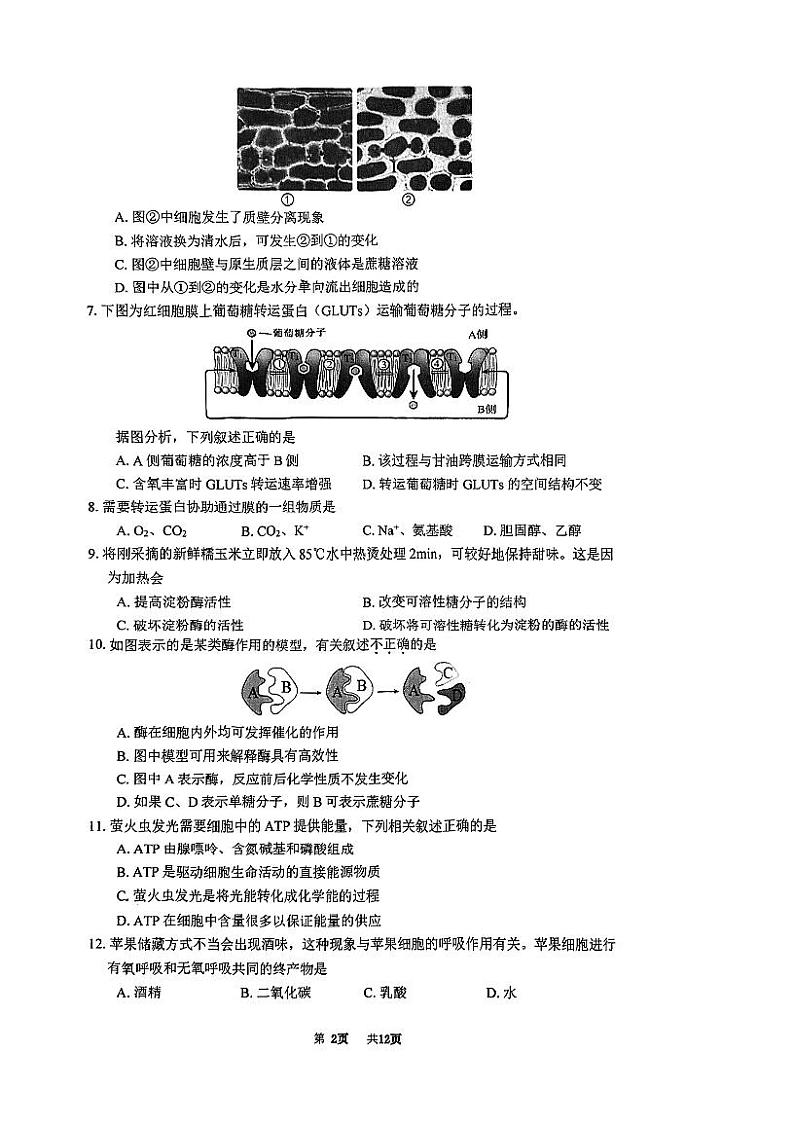 2025北京清华附中高一（上）期末生物试卷第2页