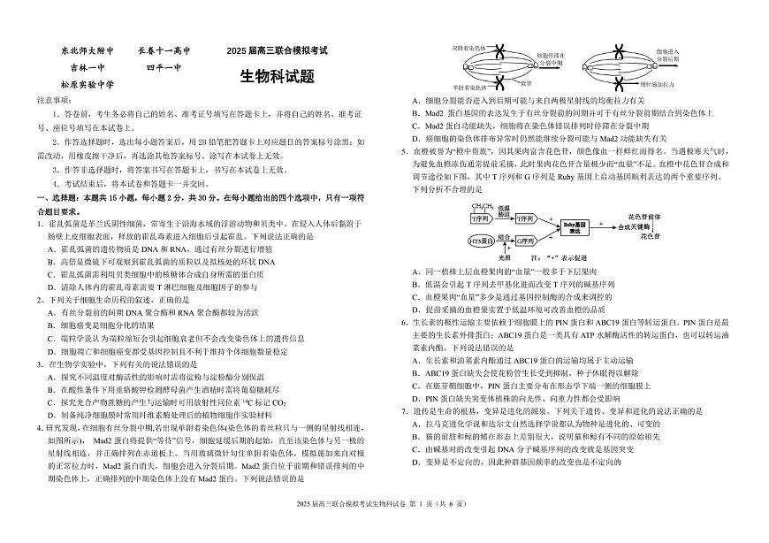 2025届高三联合模拟考试生物科试卷第1页