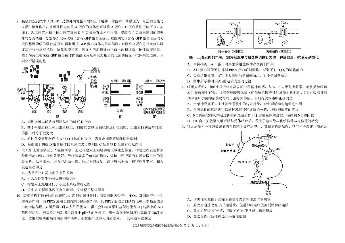 2025届高三联合模拟考试生物科试卷第2页