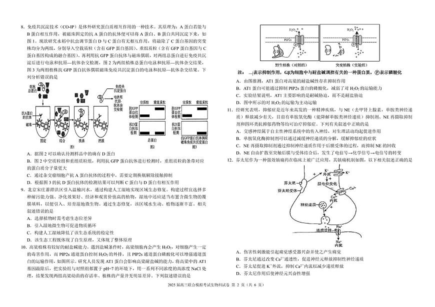 2025届高三联合模拟考试生物科试卷第2页