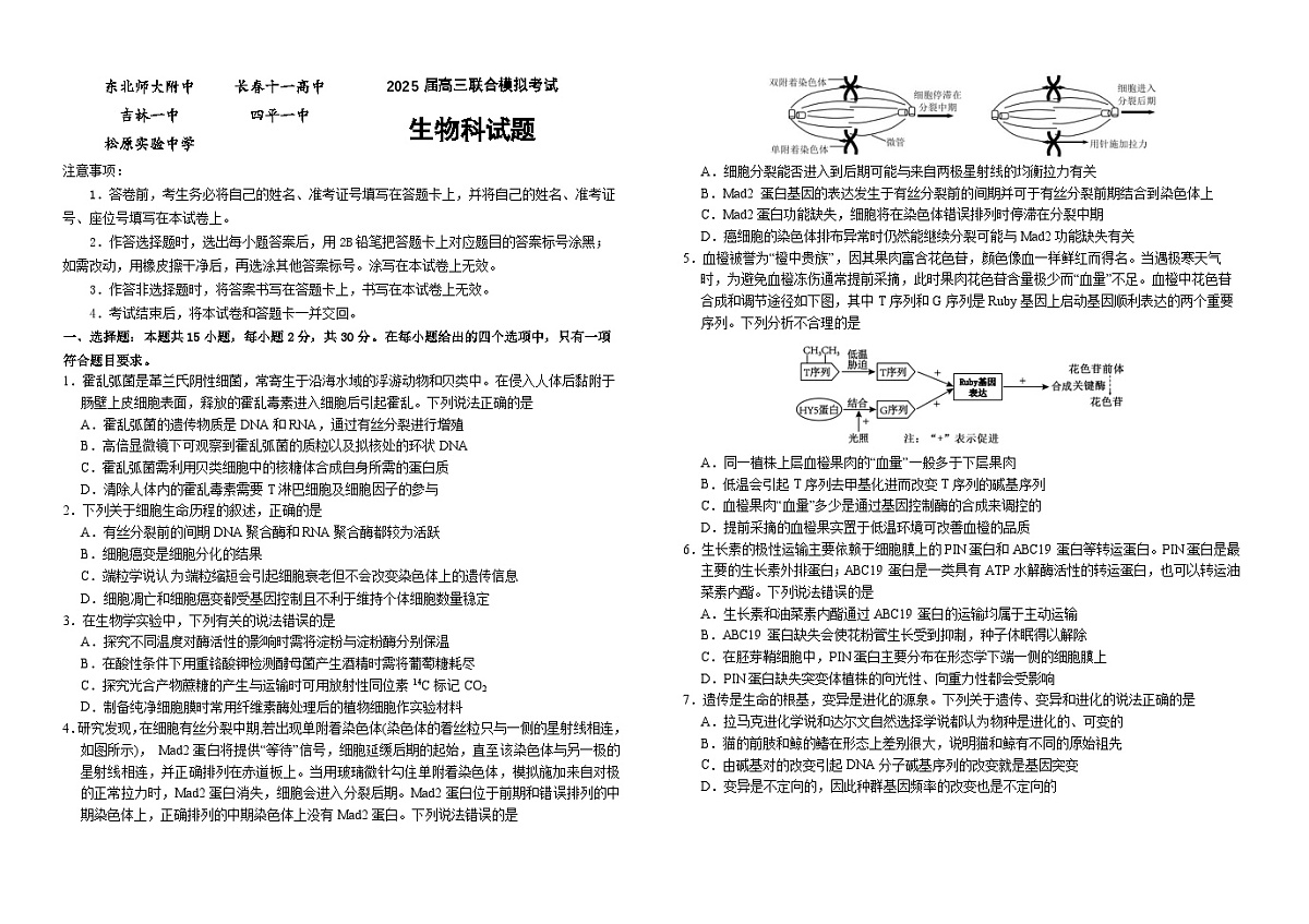 2025届高三联合模拟考试生物科试卷第1页
